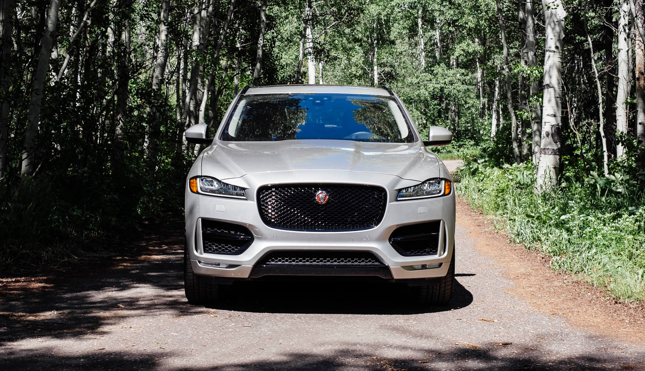 luxury cars