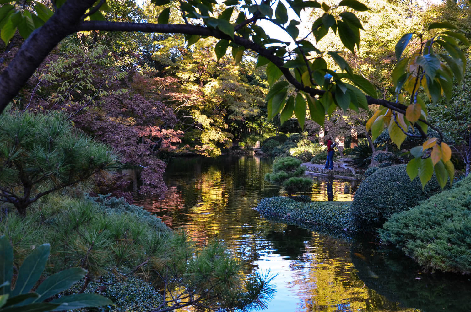 garden