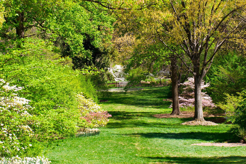 garden